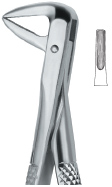 Tooth Ext Forceps