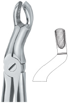 Tooth Ext Forceps