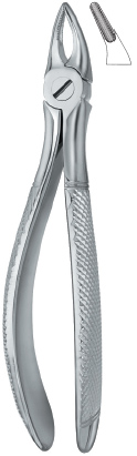 Tooth Ext Forceps